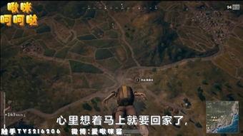 魔鬼终结者2在线观看,审判日在线观影指南 第2张 魔鬼终结者2在线观看,审判日在线观影指南 第2张