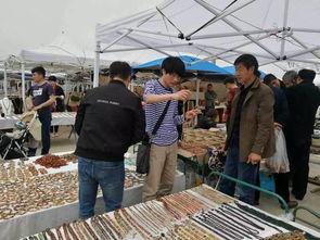 阿拉善展会爆料信息最新,绿色科技盛宴即将启幕  第2张